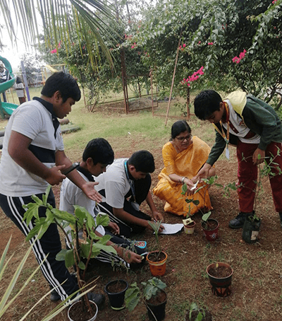 DPS Nashik School