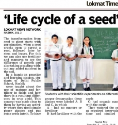Life cycle of seed